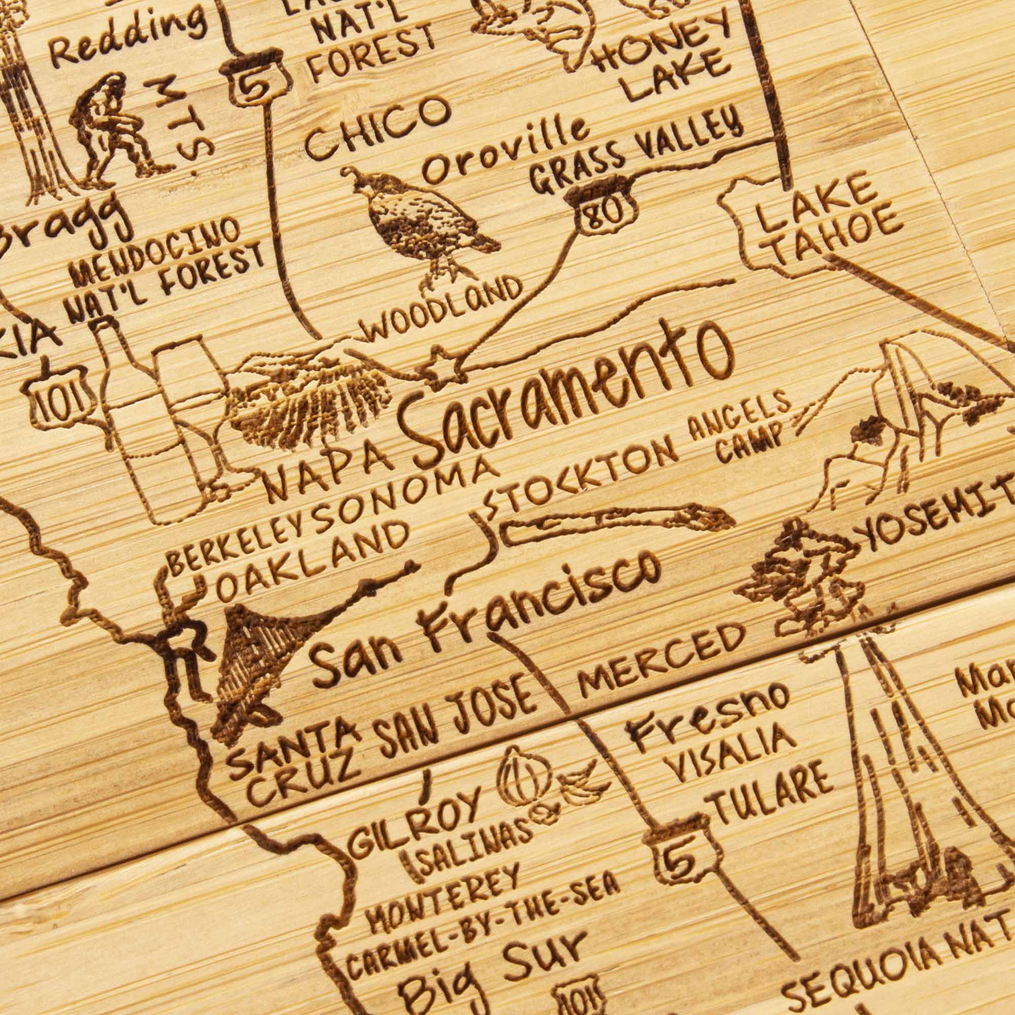4-Piece California Puzzle Coaster Set with Case