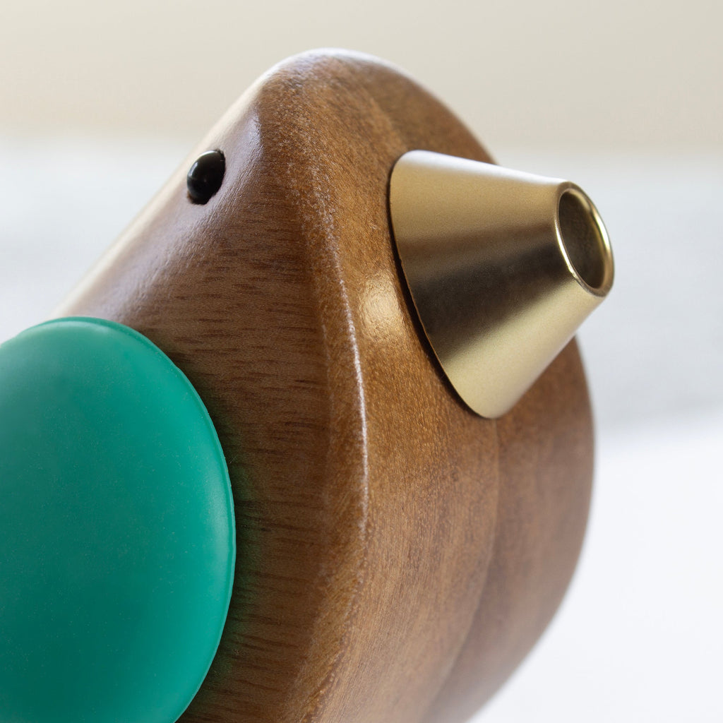 Songbird Specialties® Bottle Pourer, Turquoise