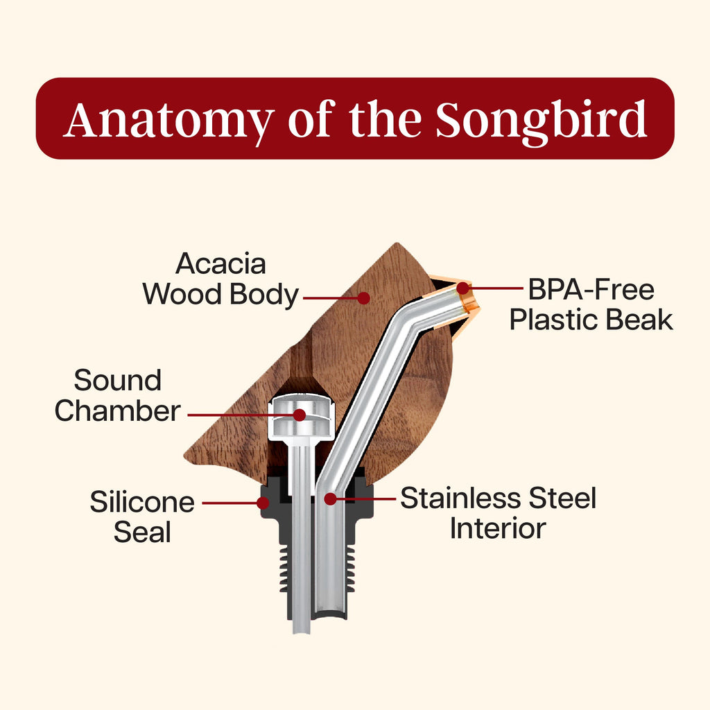 Songbird Specialties® Bottle Pourer, Black
