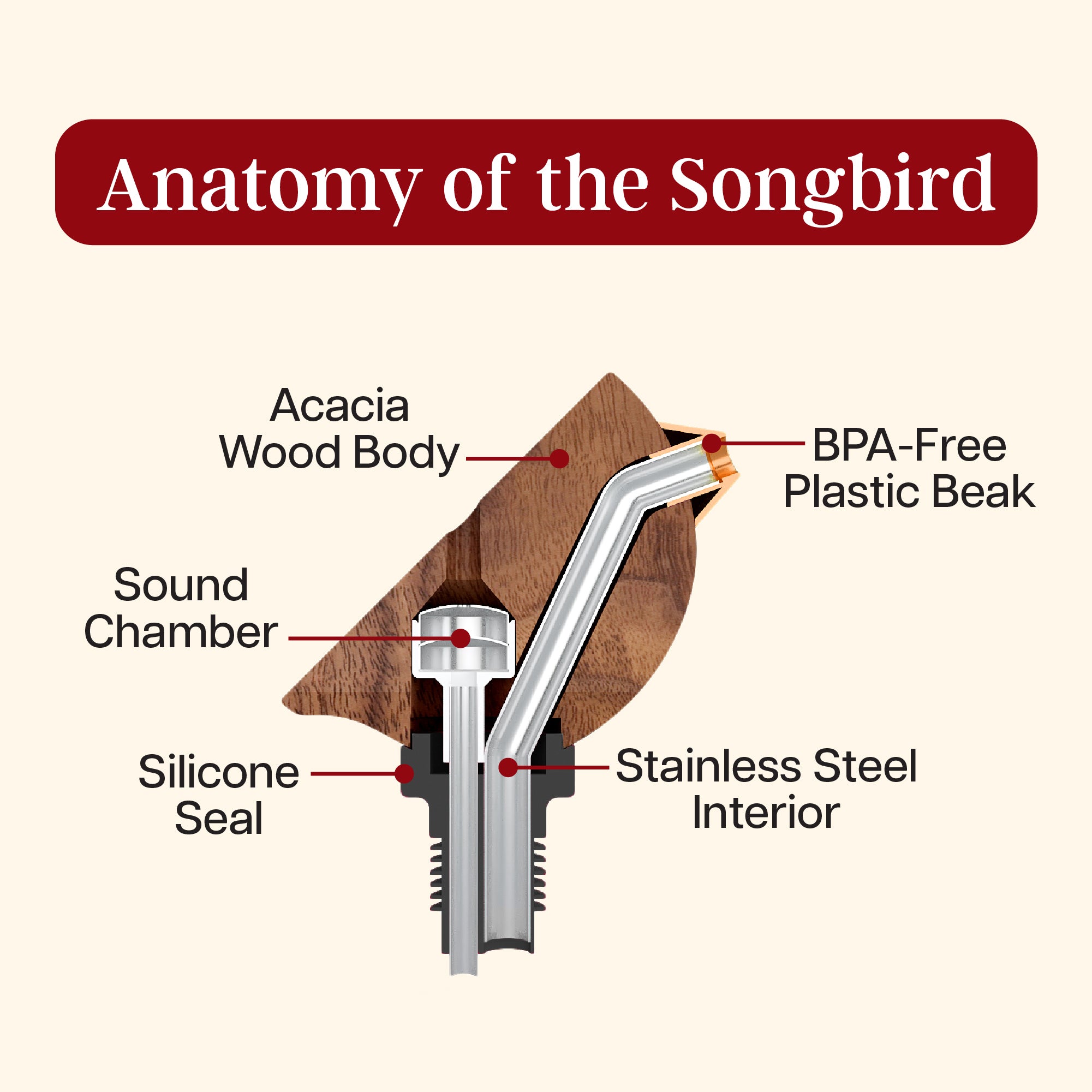 Songbird Specialties® Bottle Pourer, Black