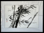 Wind Storm