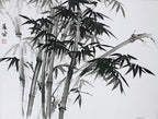 Whispering Bamboo