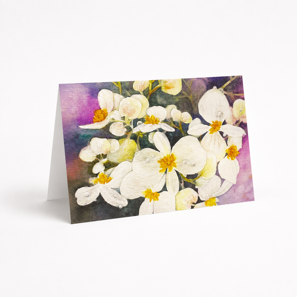 White Begonias Greeting Card