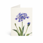 Myrtle Greeting Card