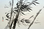 Wind Storm