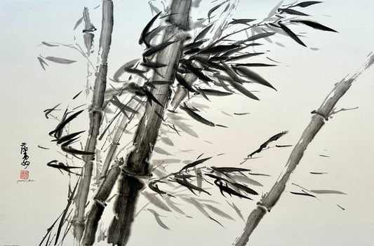 Wind Storm