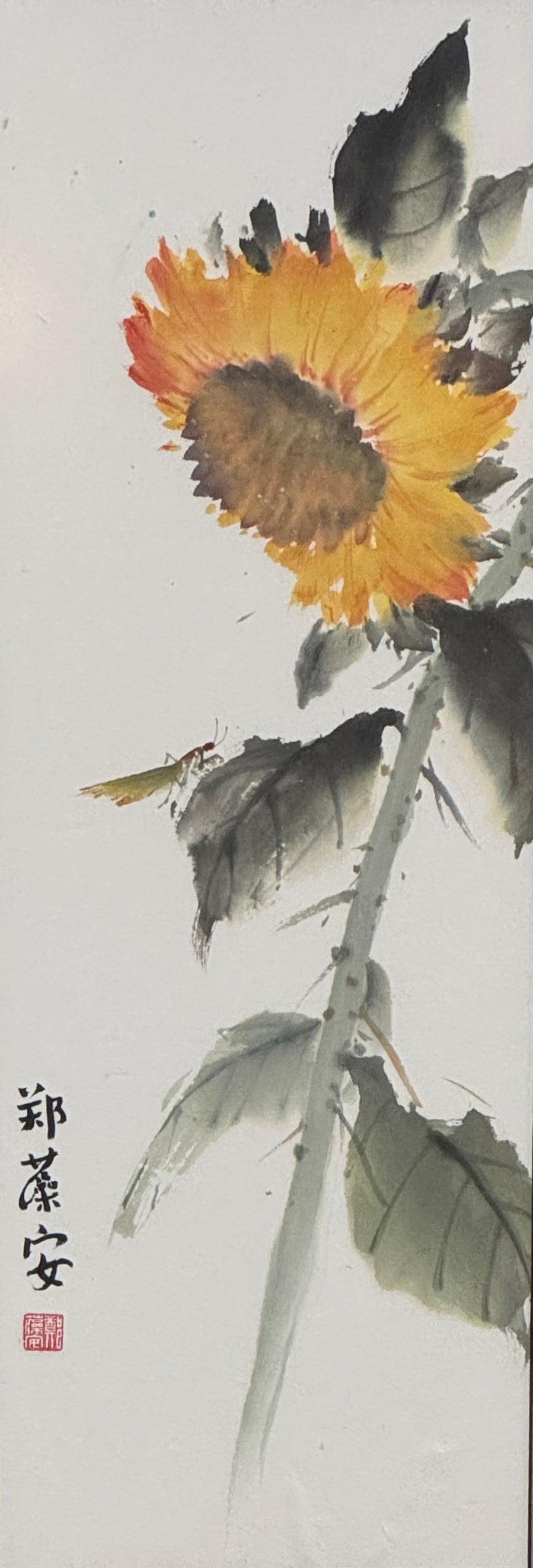 Sunflower Visitor