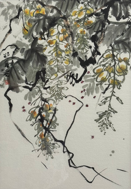 White Wisteria